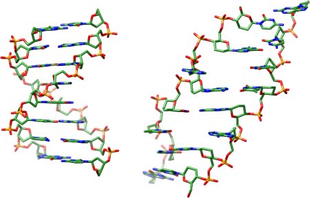 Structure Of Dna And Rna