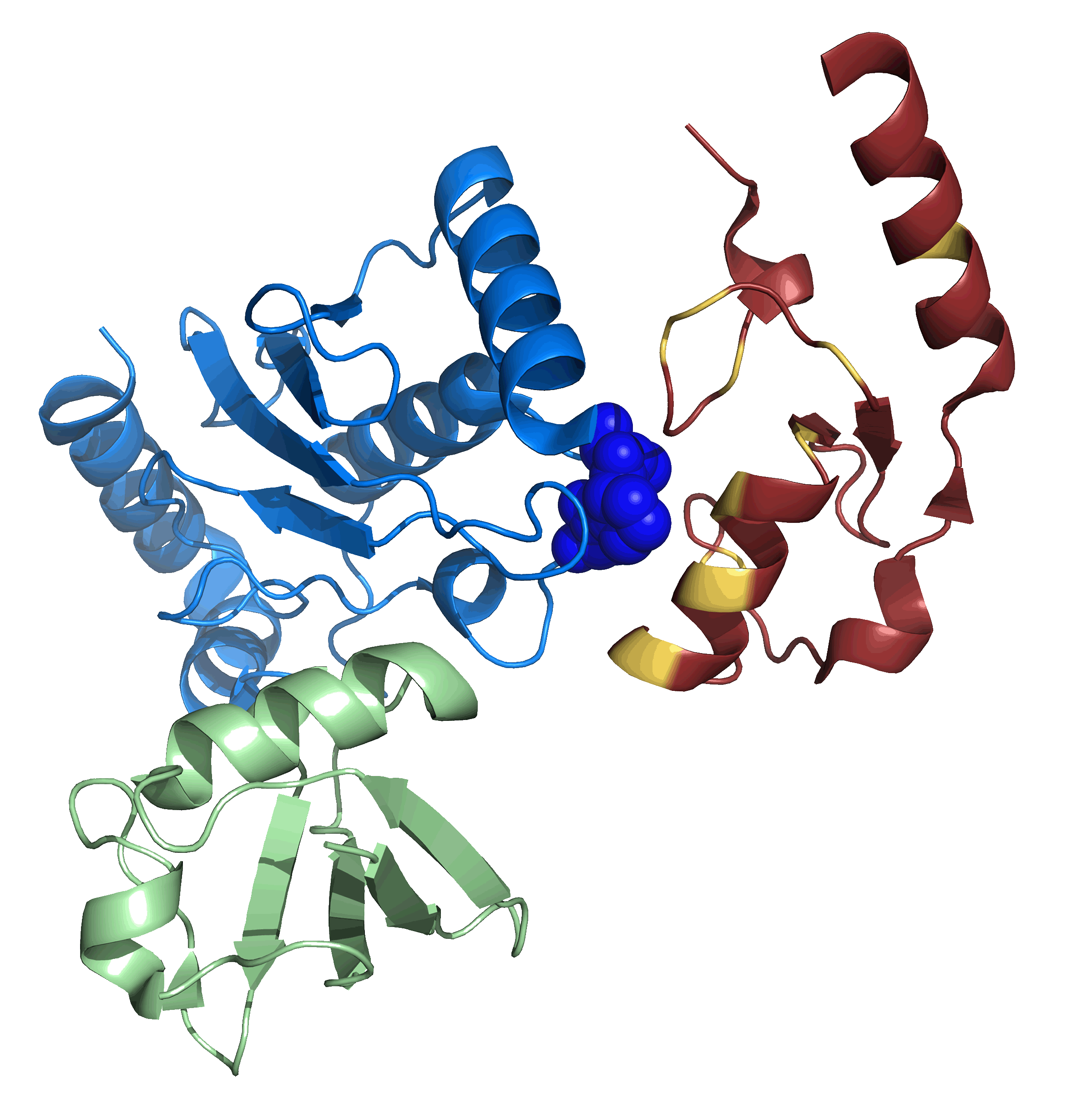 CHIP Ubiquitination